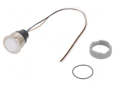 Comutator Capacitiv SPST 0,1A IP67 foto