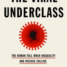 The Viral Underclass: How Racism, Ableism and Capitalism Plague Humans on the Margins