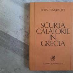 Scurta calatorie in Grecia de Ion Papuc