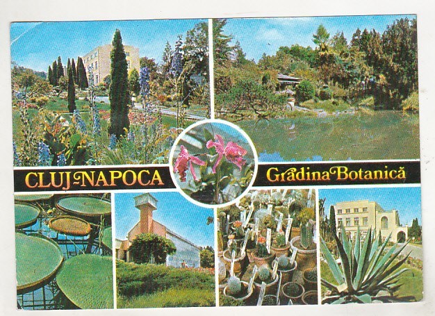 bnk cp Cluj Napoca - Gradina botanica - circulata