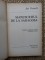 Foto  - 2