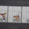 FOROYAR - 2009 - SET ANIVERSAR,100 DE ANI DE GIMNASTICA - MI 11,5 EURO -