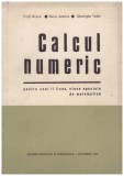 Virgil Brisca, Bucur Ionescu, Gheorghe Tudor - Calcul numeric - pentru anul II liceu, clase speciale de matematica - 129768