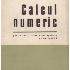 Virgil Brisca, Bucur Ionescu, Gheorghe Tudor - Calcul numeric - pentru anul II liceu, clase speciale de matematica - 129768