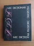 Mic dictionar filozofic