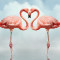 Fototapet autocolant Dragoste si flamingo, 200 x 150 cm