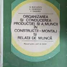 Organizarea si conducerea productiei si a muncii - N.Buiculescu