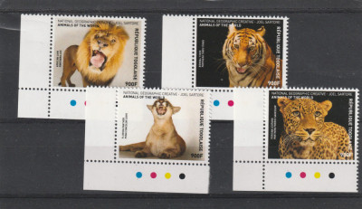 Togo 2016-Fauna,leopard,leu,pantera,tigru,serie 4 valori,colt,MNH,Mi.7929-7932 foto
