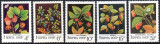 RUSIA -URSS 1982 FRUCTE DE PADURE Serie 5 timbre Mi.5155-59 MNH**