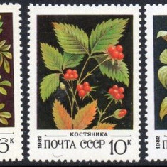 RUSIA -URSS 1982 FRUCTE DE PADURE Serie 5 timbre Mi.5155-59 MNH**