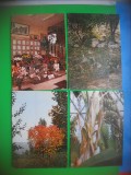 HOPCT LOT 2978 GRADINA BOTANICA -IASI-4 CARTI POSTALE-NECIRCULATE