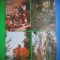 HOPCT LOT 2978 GRADINA BOTANICA -IASI-4 CARTI POSTALE-NECIRCULATE