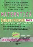 Matematica. Evaluarea Nationala 2013 - D. Catana, I. Cicu, M. Fianu