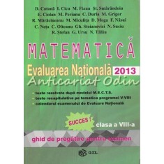 Matematica. Evaluarea Nationala 2013 - D. Catana, I. Cicu, M. Fianu