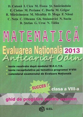 Matematica. Evaluarea Nationala 2013 - D. Catana, I. Cicu, M. Fianu foto