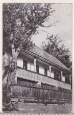 bnk cp Satul Liviu Rebreanu - Casa memoriala Liviu Rebreanu - circulata