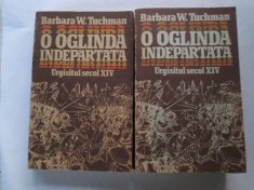 Barbara W. Tuchman - O oglinda indepartata foto