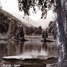 AMS - ILUSTRATA 990 MUNTII FAGARAS - PEISAJ DIN VALEA SIMBETEI, 1966, CIRCULATA