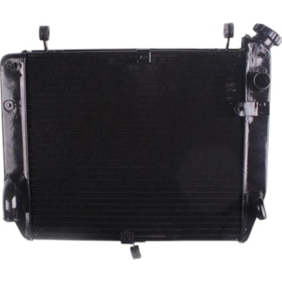 Radiator Yamaha YZF R1 2002-2003 foto