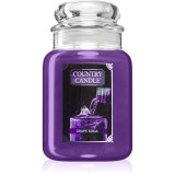 Country Candle Grape Soda lum&acirc;nare parfumată 737 g