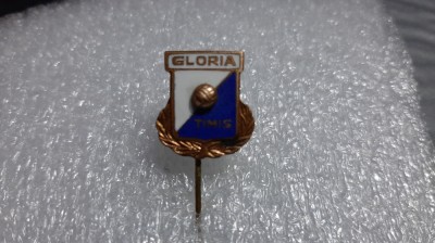 insigna Gloria Timisoara foto