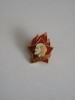 QW9 K 38 - Insigna - tematica personalitati comunism - fosta URSS - Lenin, Europa