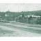 4417 - COMARNIC, Brasov, Panorama, Romania - old postcard - unused