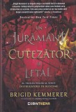 Brigid Kemmerer - Un juramant cutezator si letal (Seria Distrugatorii de