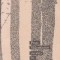 Corabia cu suflete