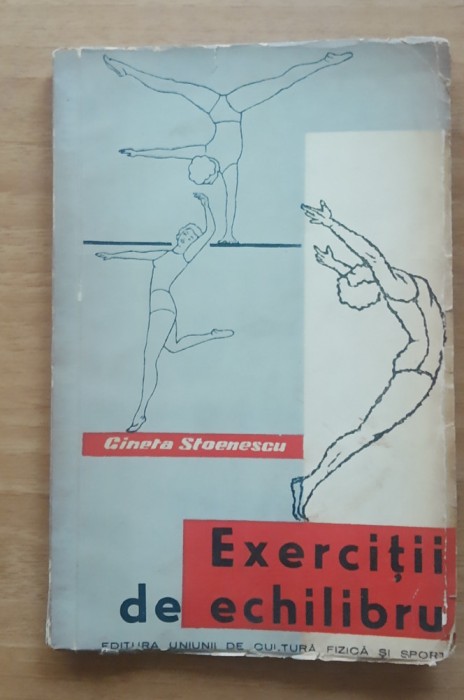 EXERCITII DE ECHILIBRU - GINETA STOENESCU