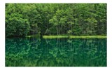 Tablou Canvas, "Verde nesf&acirc;rșit oglindit &icirc;n apă", Verde, Reflecții, Liniște, Natură, Pădure, Apă, Seninătate, Peisaj, 39 x 26 cm, CMCLASS