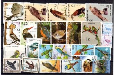 Fauna, Pasari, lot uzat, stampilat foto