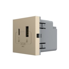 Modul Priza USB-A + USB-C LIVOLO &amp;ndash; Serie Noua SmartElectro IntelligentHouse foto