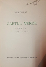 CAETUL VERDE - VERSURI 1928-1932 - ION PILLAT foto