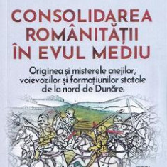 Consolidarea romanitatii in Evul Mediu - Dan-Silviu Boerescu
