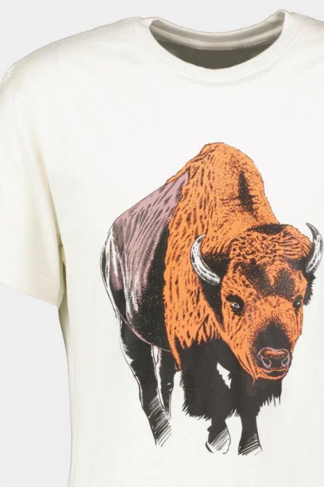 TRICOU ZIMBRU S