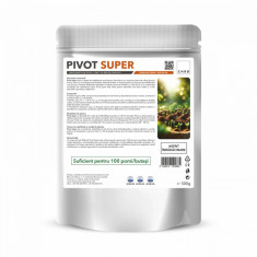Agent inradacinare (pomi fructiferi vita de vie) Pivot Super 500 g