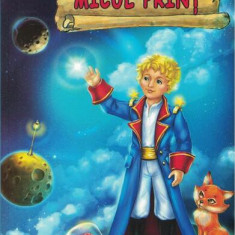 Micul prinț - Paperback brosat - Antoine de Saint-Exupéry - Ştefan