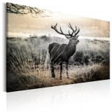 Cumpara ieftin Tablou - Dangerous Horns 120x80 cm