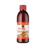 Sirop Catina Alba Fara Zahar 500 mililitri Hypericum