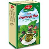 Ceai Frunze de Dud (M119) 50g