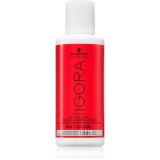 Schwarzkopf Professional IGORA Royal lotiune activa 6 % Vol.20 60 ml