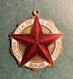 Insigna Fruntas in productie incompleta