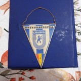 Fanion Volei U Craiova
