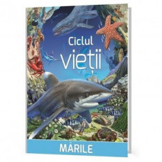 Ciclul vietii: Marile