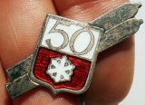 I.672 INSIGNA STICKPIN POLONIA SCHI SKI 50 L35mm email, Europa