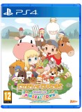 Story Of Seasons Friends Of Mineral Town PS4
