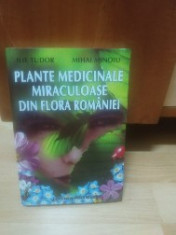 Plante medicinale miraculoase din flora Romaniei foto