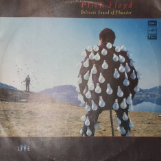 LP: PINK FLOYD - DELICATE SOUND OF THUNDER, MELODIA, URSS, VG+/VG