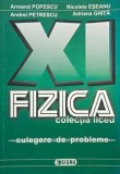Probleme de fizica pentru clasa a XI-a (F1+F2) - Armand Popescu